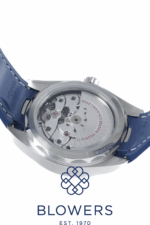 Omega Seamaster Aqua Terra Co Axial Master Chronometer 220.13.41.21.03.001