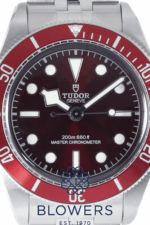 Tudor Black Bay 58 7939A1A0RU