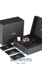 Tudor Black Bay 7941A1AONU