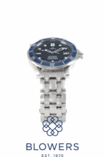 Omega Seamaster Professional Reference 2531.80.00