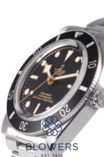 Tudor Black Bay 54 79000N