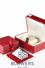 Cartier Santos Joaillerie 100 XL Chronograph Factory "Diamond Pavé" Reference WM502351