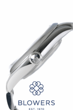 Rolex Oyster Perpetual 134300