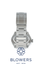 Rolex Oyster Perpetual 134300