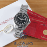 Omega Seamaster Diver 300M 217.30.42.21.01.001