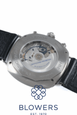 Panerai Radiomir Regatta PAM00343