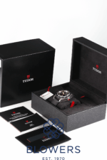 Tudor Heritage Black Bay 79230N