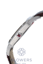 Cartier Santos-Dumont WGSA0113