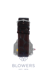 Cartier Santos-Dumont WGSA0113