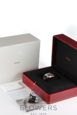 Cartier Santos-Dumont WGSA0113