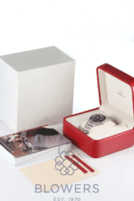 Omega Seamaster Professional 300M 2264.50.00