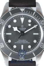 Tudor Black Bay 58 925 39mm 79010SG