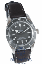 Tudor Black Bay 58 925 39mm 79010SG