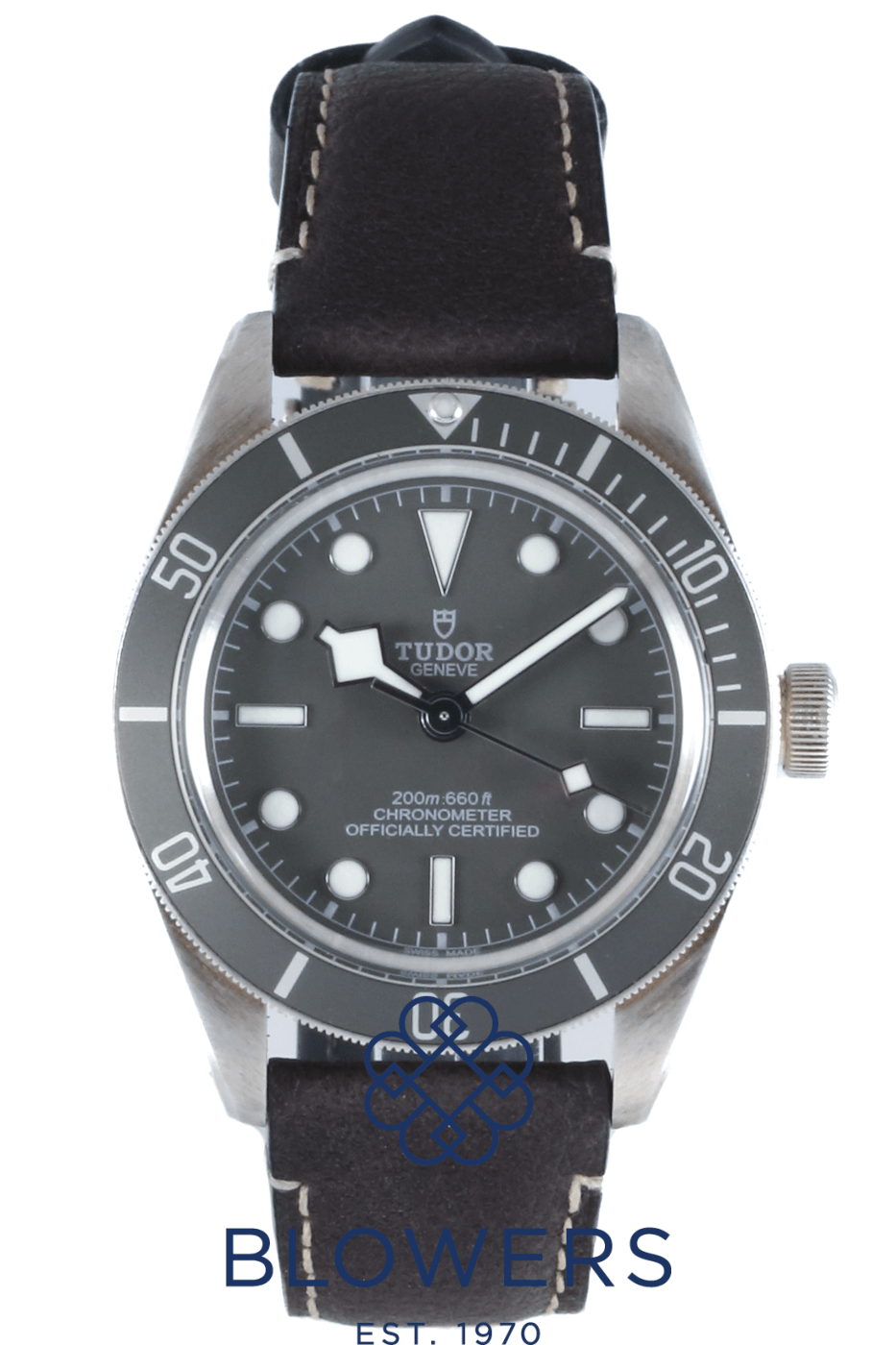 30880749 Tudor Black Bay 58 925 39mm 79010SG